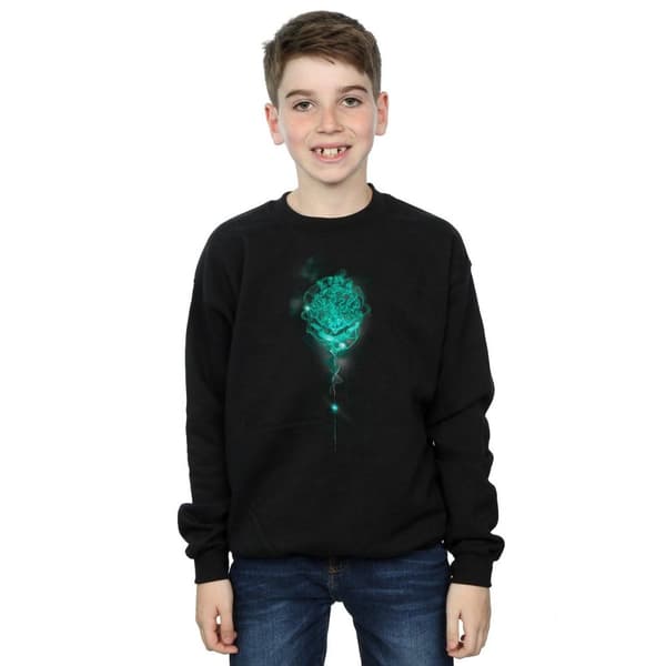 Harry Potter Pojkar Hogwarts Crest Mist Sweatshirt