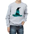 Miniatyrbilde 3 av 5: Harry Potter Boys Hogwarts Silhouette Sweatshirt