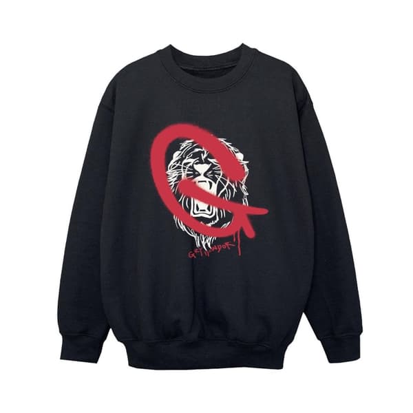 Harry Potter Pojkar Gryffindor Pop Spray Sweatshirt