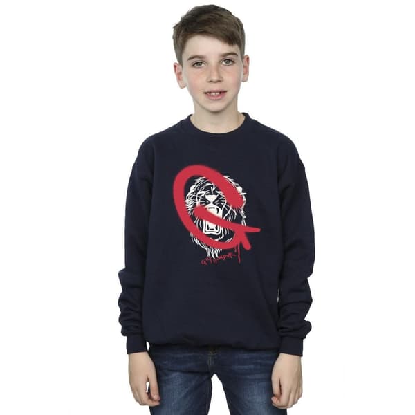 Harry Potter Pojkar Gryffindor Pop Spray Sweatshirt