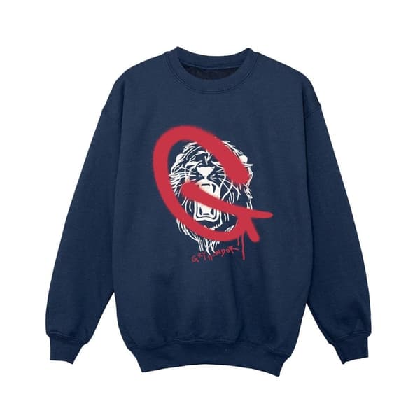 Harry Potter Pojkar Gryffindor Pop Spray Sweatshirt