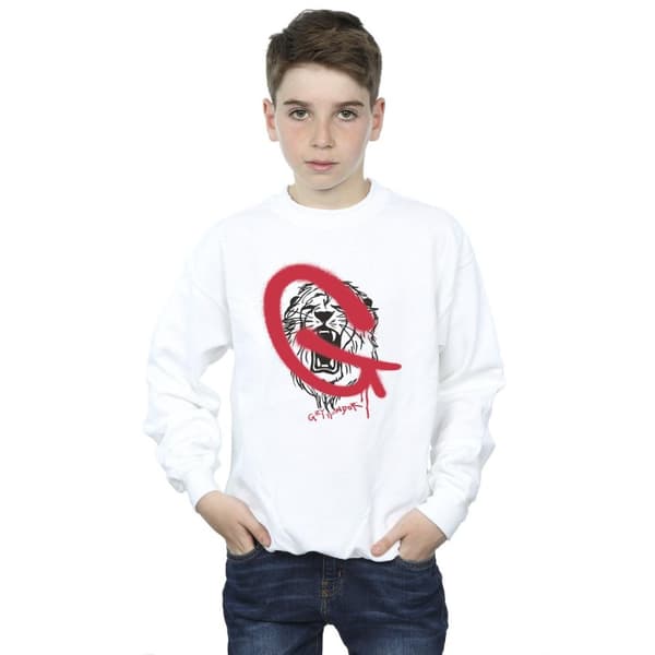 Harry Potter Pojkar Gryffindor Pop Spray Sweatshirt