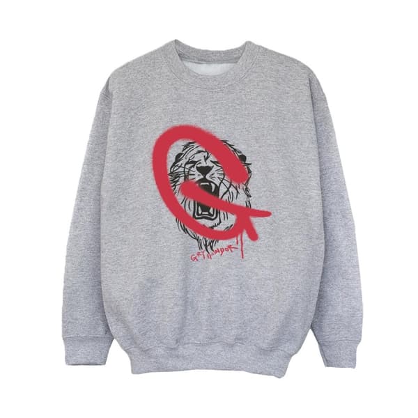Harry Potter Pojkar Gryffindor Pop Spray Sweatshirt