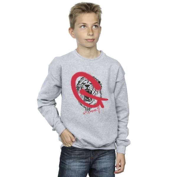 Harry Potter Pojkar Gryffindor Pop Spray Sweatshirt