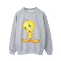 Miniatyrbillede 1 af 3: Looney Tunes Mens Tweety Standing Sweatshirt