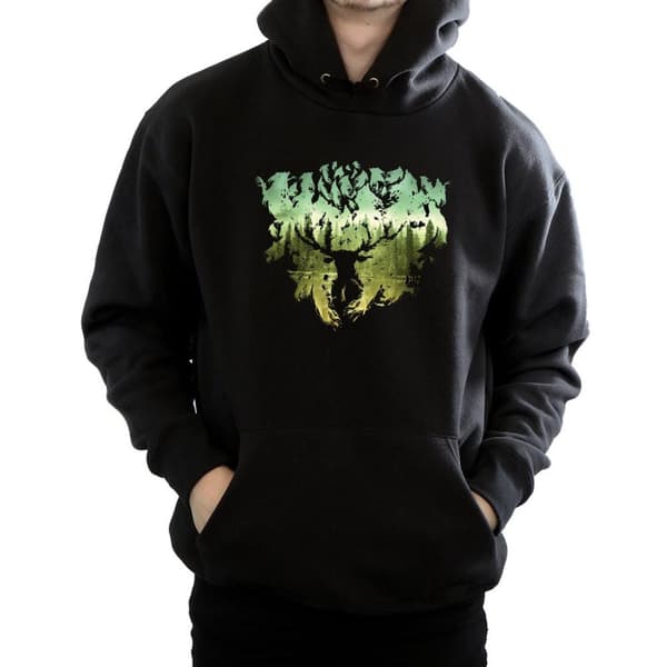Harry Potter Mens Magical Forest Hoodie