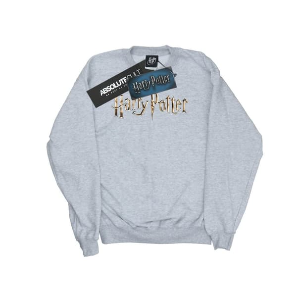 Harry Potter Sweatshirt med logotyp i fullfärg för herrar