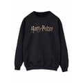 Miniatyrbilde 1 av 3: Harry Potter Mens Full Colour Logo Sweatshirt