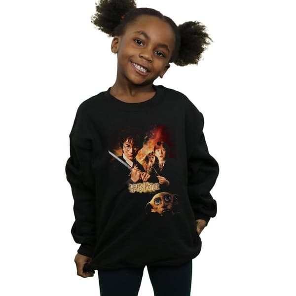 Harry Potter Girls Hemligheternas kammare Poster Sweatshirt