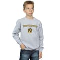 Miniatyrbillede 2 af 3: Harry Potter Boys Hufflepuff Crest Sweatshirt