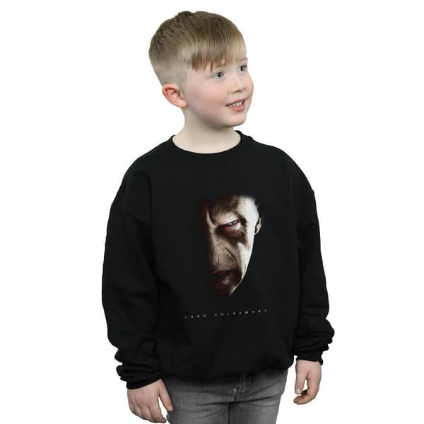 Harry Potter Pojkar Lord Voldemort Portrait Sweatshirt