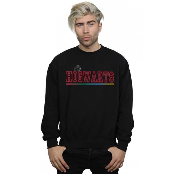 Harry Potter Hogwarts Collegial Sweatshirt för herrar