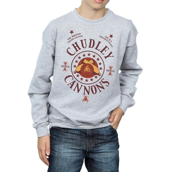 Harry Potter Boys Chudley Cannons Logo Sweatshirt