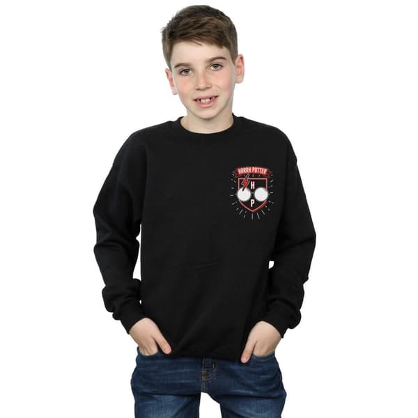 Harry Potter Boys Toon Glasses Pocket Sweatshirt