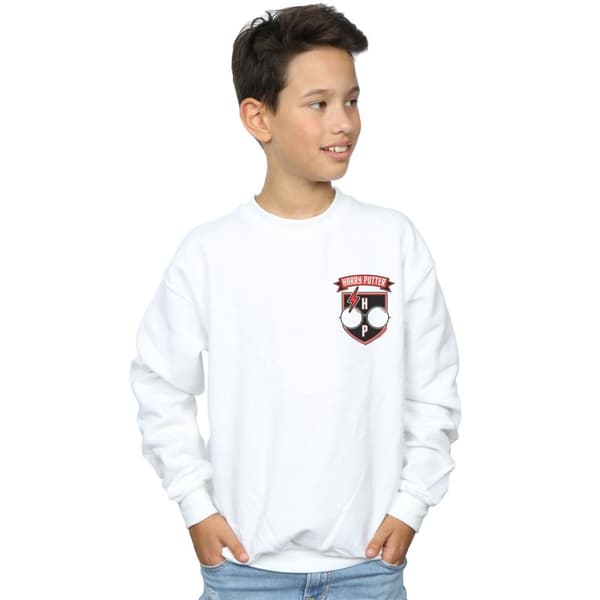 Harry Potter Boys Toon Glasses Pocket Sweatshirt
