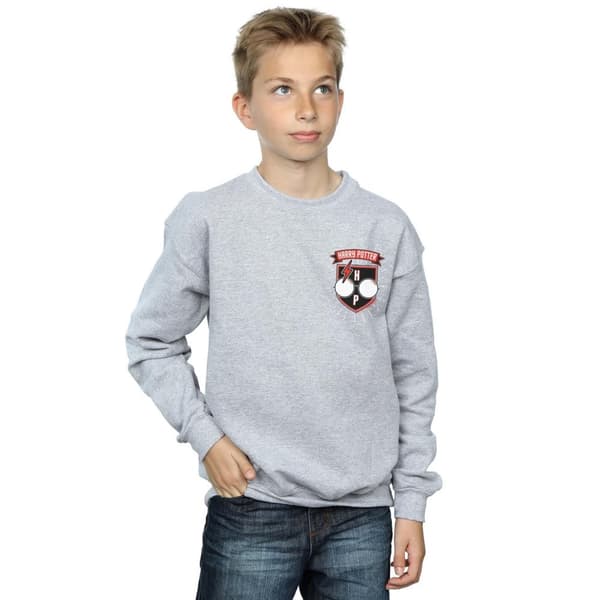 Harry Potter Boys Toon Glasses Pocket Sweatshirt