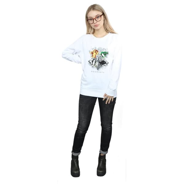 Harry Potter Womens/Ladies Hogwarts Painted Crest Sweatshirt