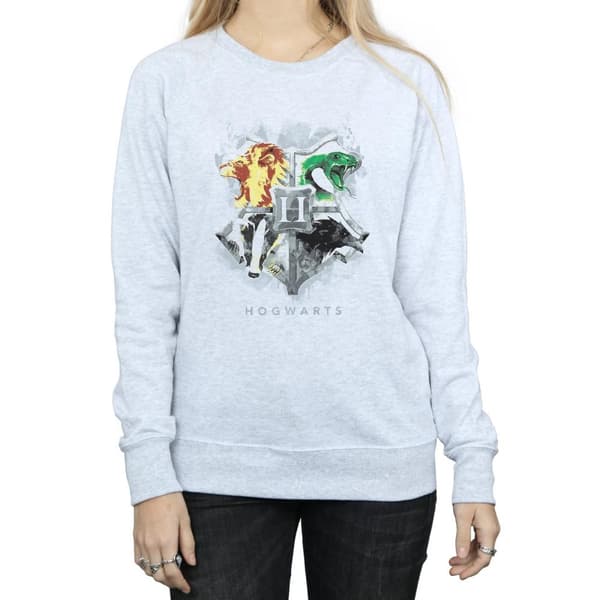 Harry Potter Womens/Ladies Hogwarts Painted Crest Sweatshirt