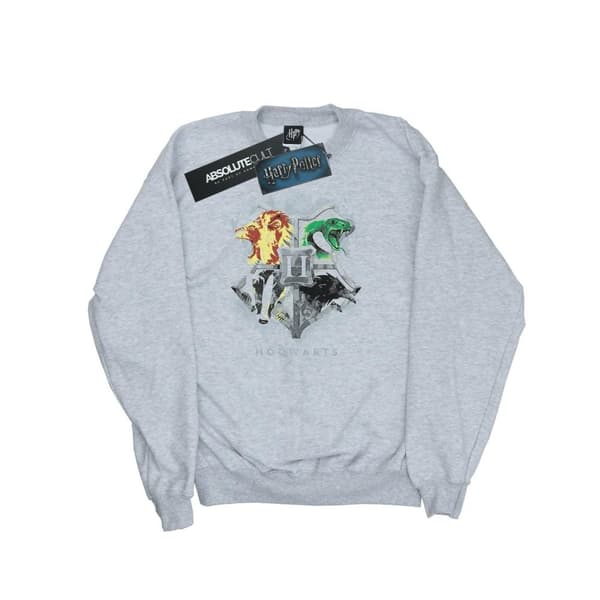 Harry Potter Womens/Ladies Hogwarts Painted Crest Sweatshirt