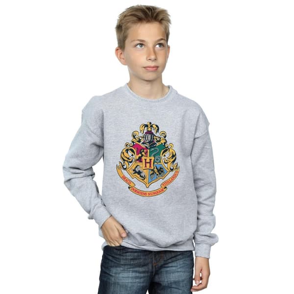Harry Potter Boys Hogwarts Crest Gold Ink Sweatshirt