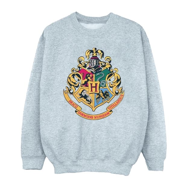 Harry Potter Boys Hogwarts Crest Gold Ink Sweatshirt