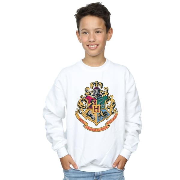Harry Potter Boys Hogwarts Crest Gold Ink Sweatshirt