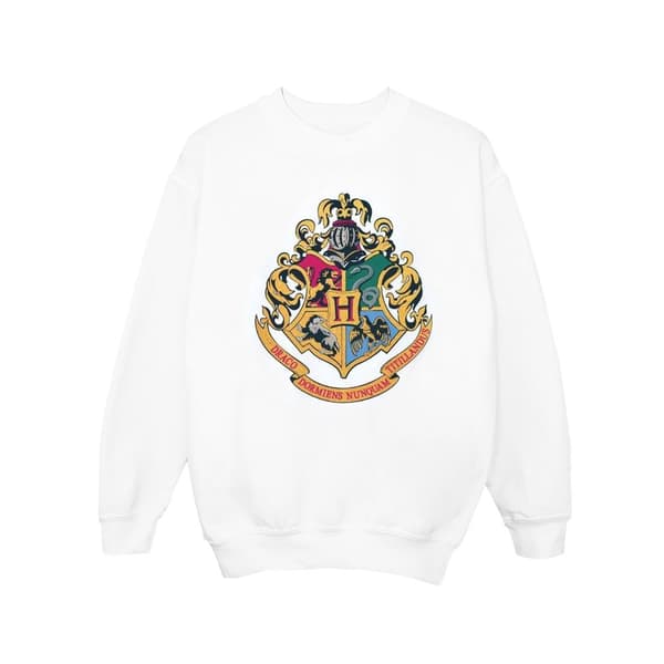 Harry Potter Boys Hogwarts Crest Gold Ink Sweatshirt