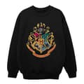 Miniatyrbilde 1 av 4: Harry Potter Boys Hogwarts Crest Gold Ink Sweatshirt