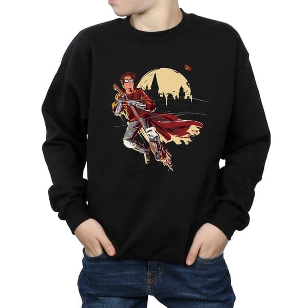 Harry Potter Boys Quidditch Seeeker Sweatshirt