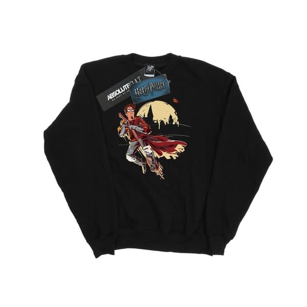 Harry Potter Boys Quidditch Seeeker Sweatshirt