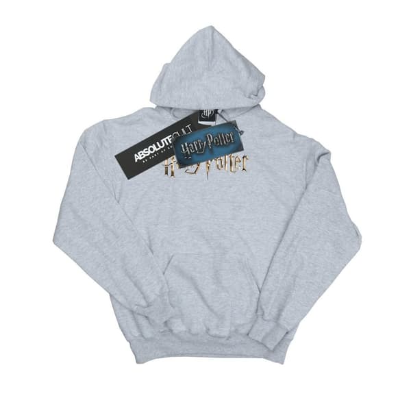 Harry Potter Mens Full Colour Logo Hoodie
