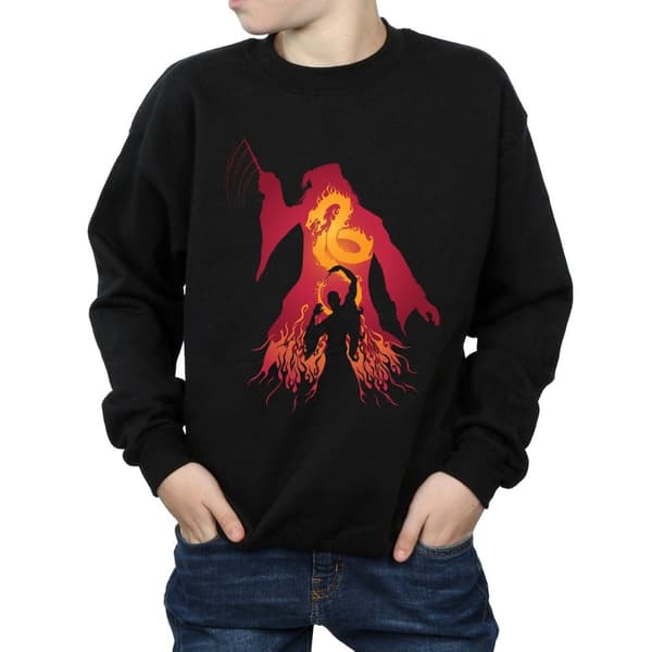 Harry Potter Boys Dumbledore Silhouette Sweatshirt