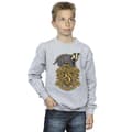 Miniatyrbilde 2 av 3: Harry Potter Boys Hufflepuff Sketch Crest Sweatshirt