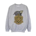Miniatyrbilde 1 av 3: Harry Potter Boys Hufflepuff Sketch Crest Sweatshirt