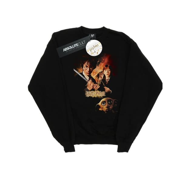 Harry Potter Womens/Ladies Chamber Of Secrets Poster Sweatshirt Black XXL