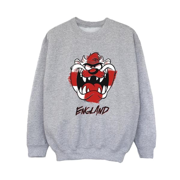 Looney Tunes Boys Taz England Face Sweatshirt