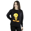 Miniatyrbild 2 av 3: Looney Tunes Sweatshirt - Tweety Standing - dam/dam