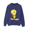 Miniatyrbild 1 av 3: Looney Tunes Sweatshirt - Tweety Standing - dam/dam