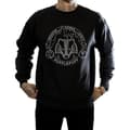Miniatyrbillede 3 af 5: Harry Potter Mens Hufflepuff Seal Sweatshirt