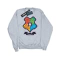 Pikkukuva 1 / 5: Harry Potter Womens/Ladies Hogwarts Junior Crest Sweatshirt