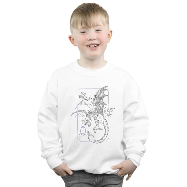 Harry Potter Pojkar Dragon Line Art - Sweatshirt