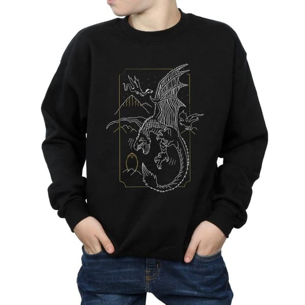 Harry Potter Boys Dragon Line Art Sweatshirt