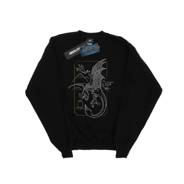 Harry Potter Boys Dragon Line Art Sweatshirt