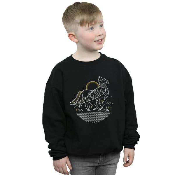 Harry Potter Boys Buckbeak Line Art Sweatshirt