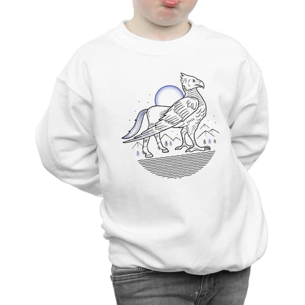 Harry Potter Boys Buckbeak Line Art Sweatshirt