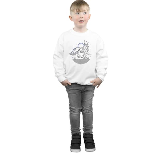 Harry Potter Boys Buckbeak Line Art Sweatshirt