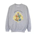 Miniatyrbilde 1 av 3: Harry Potter Boys Hogwarts School Emblem Sweatshirt