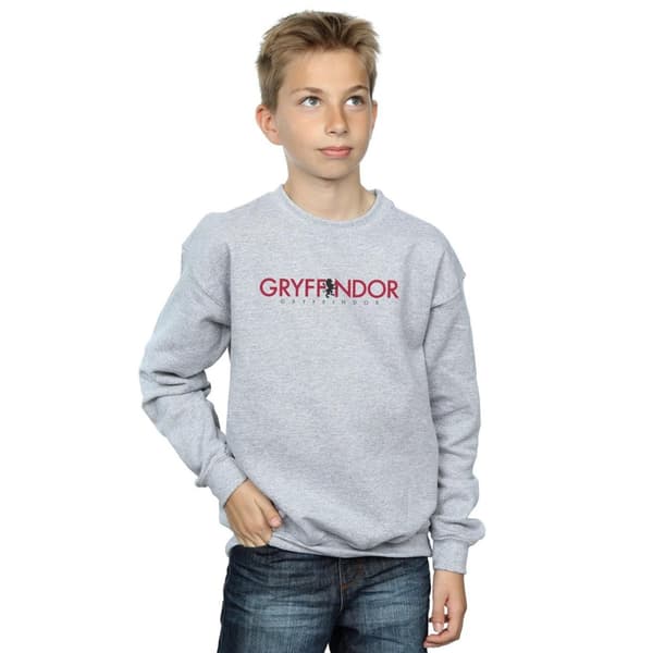 Harry Potter Boys Gryffindor Text Sweatshirt