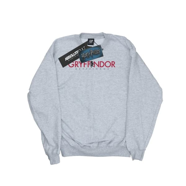 Harry Potter Boys Gryffindor Text Sweatshirt Sports Grey 5-6 Years