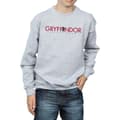 Miniatyrbilde 3 av 5: Harry Potter Boys Gryffindor Text Sweatshirt